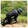 Super Shield 834 Back protector
