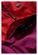 BLAUER SPRING PULL WOMAN