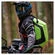 LOUIS HARDSHELL BACKPACK