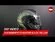 Schuberth C5 Master Black-Yellow