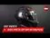 AGV Pista GP RR E2206/DOT Intrepido 019