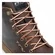 Dartwood WP Brown