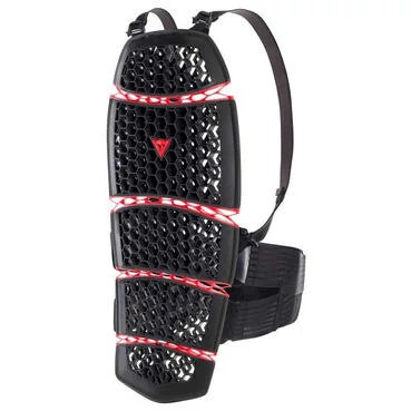 DAINESE Pro-Armor 2.0 back protector Черный