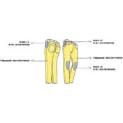 Jeans Motorcycle мотоштаны Pmj JACKSON Blue (AA)