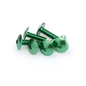 PUIG Dished Allen M6x20mm screw kit 6 units Зеленый
