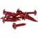 VPARTS MF5-RC520 screw kit 12 units Красный
