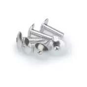 PUIG Dished Allen M6x20mm screw kit 6 units Серебристый