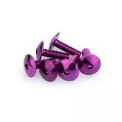 PUIG Dished Allen M6x20mm screw kit 6 units Фиолетовый