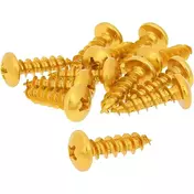 VPARTS MF5-RC620 screw kit 12 units Золотистый