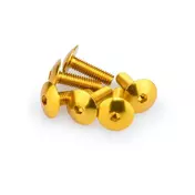 PUIG Dished Allen M6x20mm screw kit 6 units Золотистый