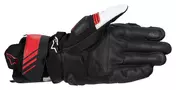 GP Plus R V3 Black, White, Red