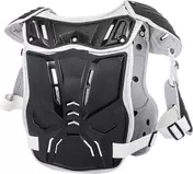 PXR Stone Shield