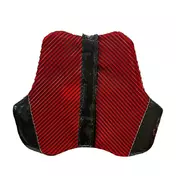 Ixon Ix-race Chest Protector Black Red Красный