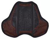 Chest CP2