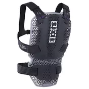 ION Wear arcon hd rückenprotektor Черный