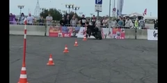 Отзыв №7223
